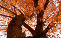 令人振奋的ddos流量攻击购买