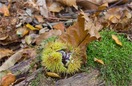 ddos在线攻击测试网站